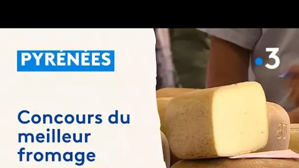 Béarn : concours des fromages de la vallée d'Ossau à Laruns