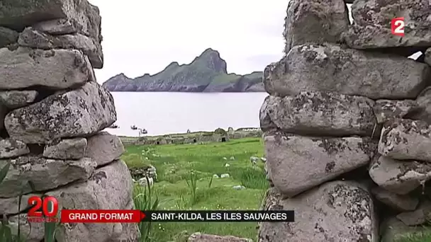 Ecosse Saint Kilda, le plus grand sanctuaire d&#039;oiseaux de l&#039;Atlantique Nord