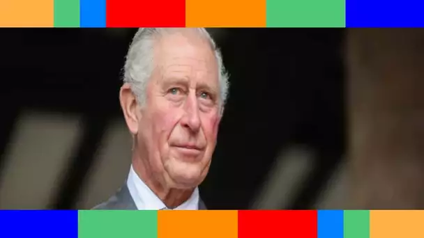 👑  Le prince Charles réaliste : pourquoi Harry ne sera pas mis de côté