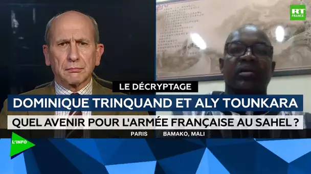 Le décryptage - Opération Barkhane : quel avenir pour l'armée française au Sahel ?