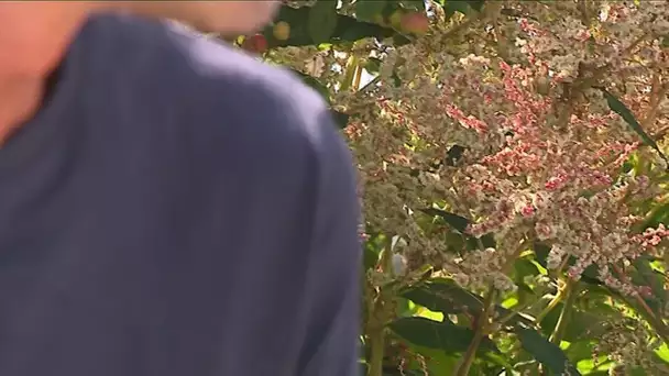 "C'est pas beau, c'est pas bien. J'aurais dû prendre sur moi" : Julien, conjoint violent, témoigne