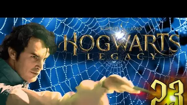 GEORGES CONTRE MAGALIE LA MYGALE !! -Hogwarts Legacy- Ep.23 [GEORGES TUSÉKI ORIGINS]