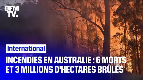 Incendies en Australie: 6 morts et 3 millions d'hectares brûlés