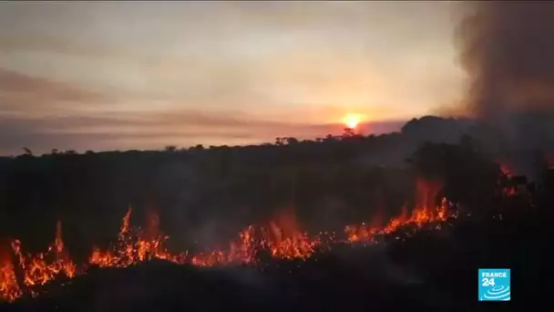 Des feux de forêts importants touchent l’Amazonie, Bolsonaro accuse les ONG.