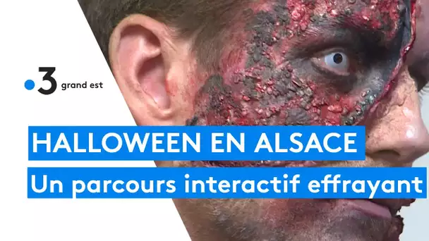 Halloween en Alsace : ils créent un escape game immersif effrayant