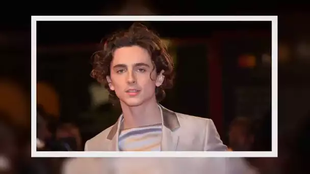 ✅  VIDEO. Timothée Chalamet va incarner Bob Dylan dans un nouveau biopic