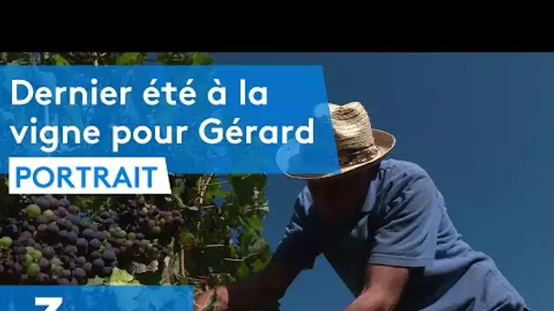 Sarthe : Dernier été à la vigne pour Gérard