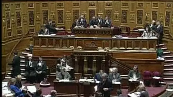 18 mars 1999 : Le Sénat s'oppose au PACS | Archive INA