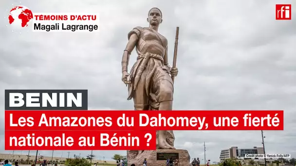 Les Amazones du Dahomey, une fierté nationale au Bénin ? • RFI