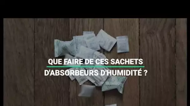 Cadeaux de Noël : Ne jetez plus les petits sachets de billes absorbeurs d'humidité, réutilisez-les !