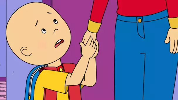 Nouvelle École | Caillou en Français