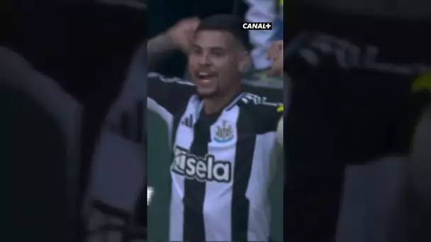 Le super but de Guimarães à la 90' ! 😍