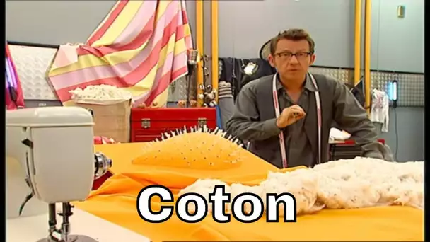 Comment le coton produit-il des fibres ? - C'est Pas Sorcier