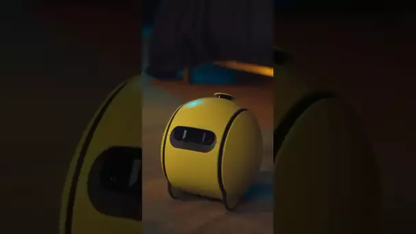Ballie : le robot domestique de Samsung
