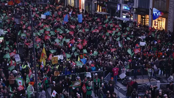 [REPORTAGE] Nouvelle démonstration de force contre la PMA pour toutes et la GPA