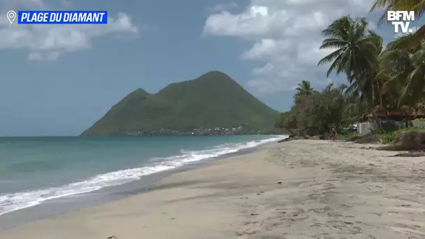 Martinique: les images des plages désertes en plein confinement