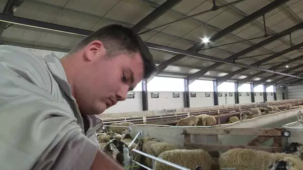 Puy-de-Dôme : les Ovinpiades ont sacré le meilleur jeune berger du département