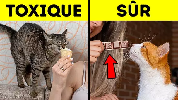 16 faits que les animaux préfèrent garder secrets pour vous