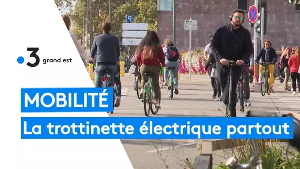 Mobilité : la trottinette électrique partout dans les rues de Strasbourg