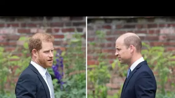 Prince William et Harry violent affrontement, leurs retrouvailles à Buckingham Palace