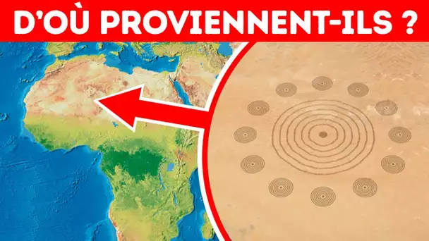 De Mystérieux Cercles Dans le Sahara : D’où Proviennent-Ils ?