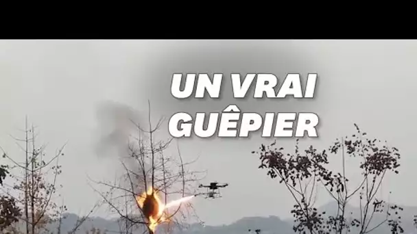 En Chine, un drone lance-flammes pour détruire les nids de guêpes