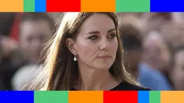 Kate Middleton à Westminster : ce choix de boucles d'oreilles étonnant pour assortir sa broche très