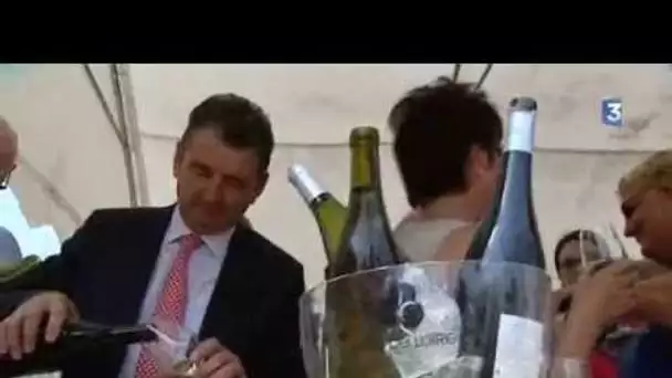 VinOpôle, nouvelle vitrine de la viticulture régionale