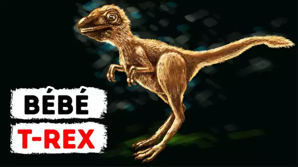 Les jeunes T-Rex ne ressemblaient en rien aux dinosaures que l’on voit dans les films