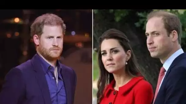 Harry se dispute avec William « sans cœur » et éclate à cause d'une nouvelle « fouille cruelle » dan