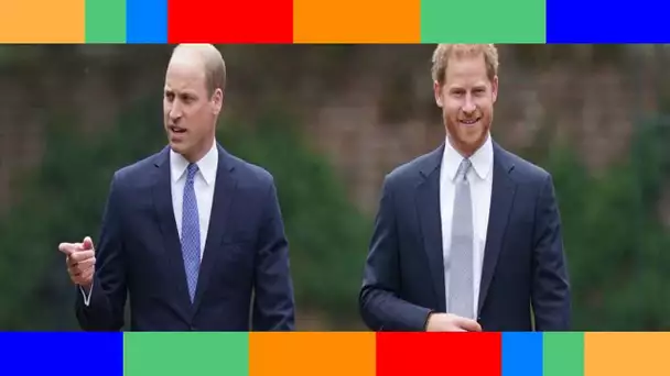 Diana différente pour ses fils  pourquoi William “l’idolâtrait moins” que Harry