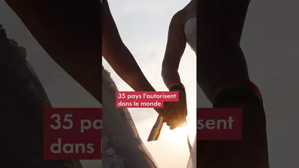 La Grèce légalise le mariage pour tous