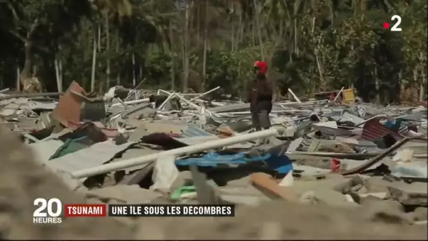 Tsunami  la ville de Palu a été dévastée