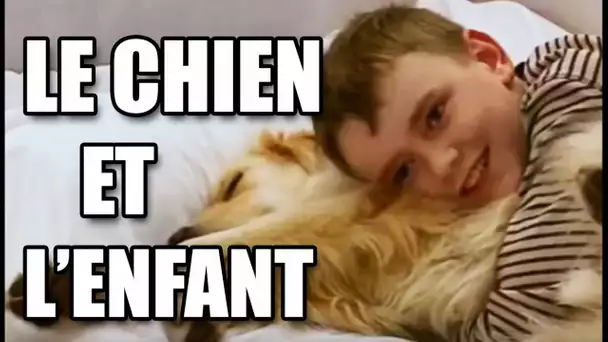 Un chien sauve un enfant malade - ZAPPING SAUVAGE