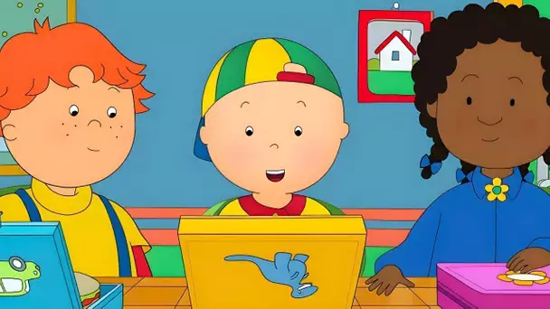 Caillou retourne à L'école | Caillou | WildBrain Enfants