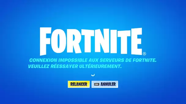 LES SERVEURS DE FORTNITE EN PLS ...