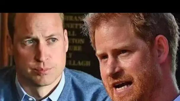 Le prince William ne prévoit pas de rendre visite au prince Harry pendant son séjour aux États-Unis