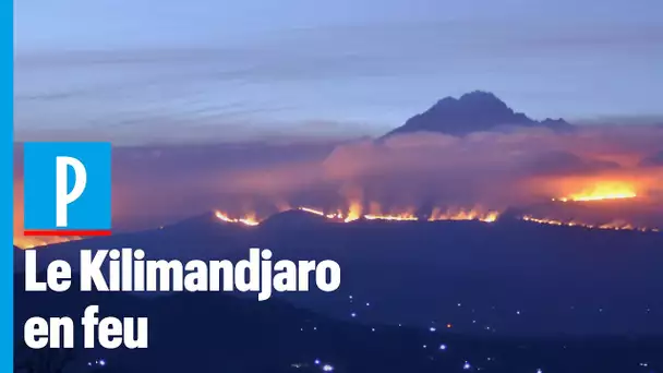 Kilimandjaro : un violent incendie ravage la plus haute montagne d'Afrique
