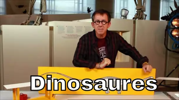 A quoi servent la longue queue et le long cou des sauropodes ? - C'est Pas Sorcier