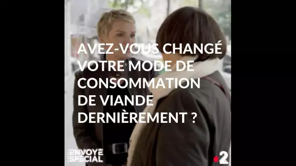 Envoyé spécial. E.Lucet: "Avez-vous avez changé votre mode de consommation de viande dernièrement ?"