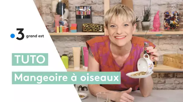 Tuto mangeoire : attirez les oiseaux avec de la vaisselle