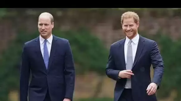 Le nouveau film du prince Harry pourrait bouleverser William alors qu'un expert affirme qu'il "mine