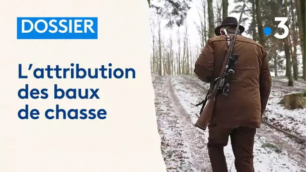 Voici comment sont attribués les baux de chasse