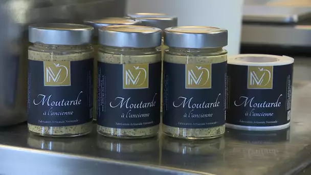 Le retour de la moutarde cultivée et concoctée en Normandie