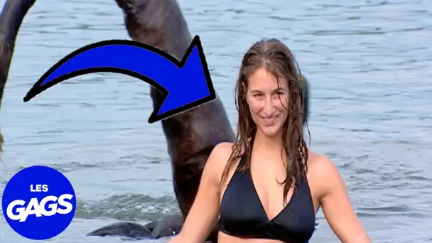 Pourquoi je ne veux pas aller dans la Seine | Juste Pour Rire Les Gags