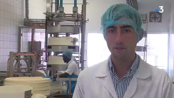 En Haute-Savoie, la filière fromage forme et recrute ses futurs aides-fromagers