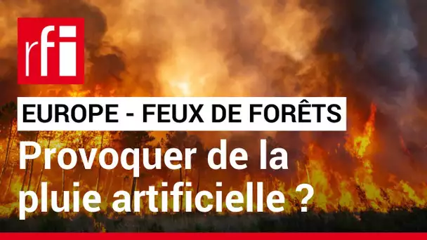 Environnement : multiplication des feux de forêts en Europe • RFI