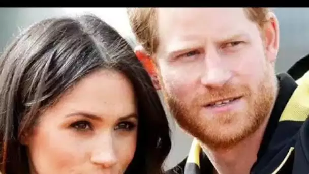 Meghan a averti que le blog "sourd ou déconnecté" "pourrait potentiellement la blesser, elle et Harr