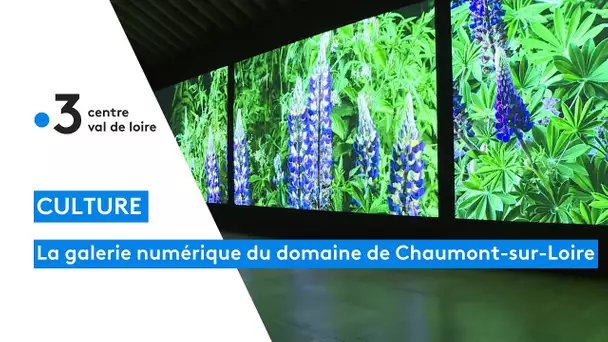 Chaumont-sur-Loire : Le château ouvre une galerie numérique