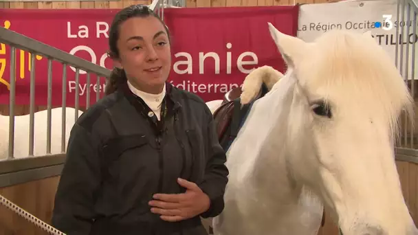 Salon de l'agriculture : la Camargue, une curiosité verte où le cheval et le taureau sont rois